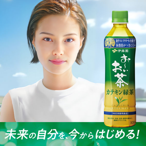 伊藤園 体脂肪を減らす 一番摘みのお〜いお茶 1200 8袋セット 機能性表示食品）お～いお茶濃い茶プレミアムティーバッグ