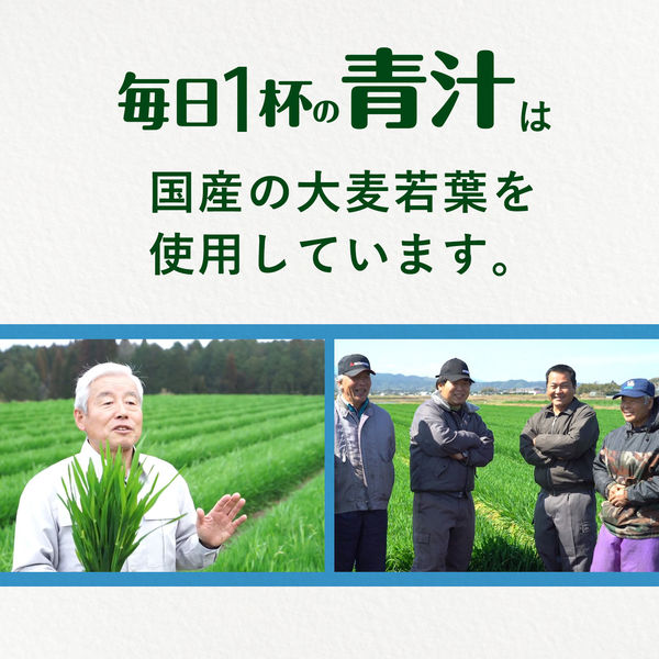 伊藤園 毎日1杯の青汁 すっきりまろやか 1L キャップ付き 紙パック 1箱（6本入） - アスクル