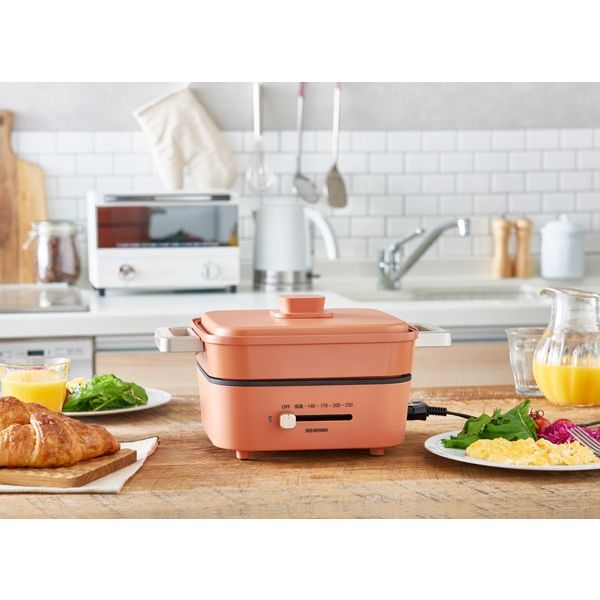 アイリスオーヤマ グリル鍋 2枚プレート IGU-P2-D 1台（直送品