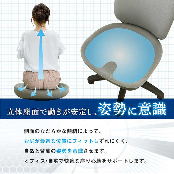 Netforce ネットフォース 体圧分散チェア 肘なし オフィスチェア Netforce ネットフォース 体圧分散チェア 肘なし オフィスチェア