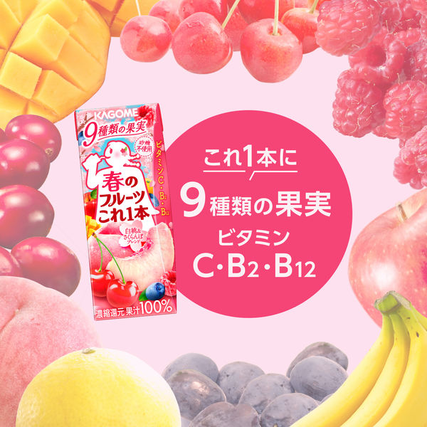 ☆Sakuranbo様専用☆ さくらんぼ☆様専用ページ さくらんぼ様 専用