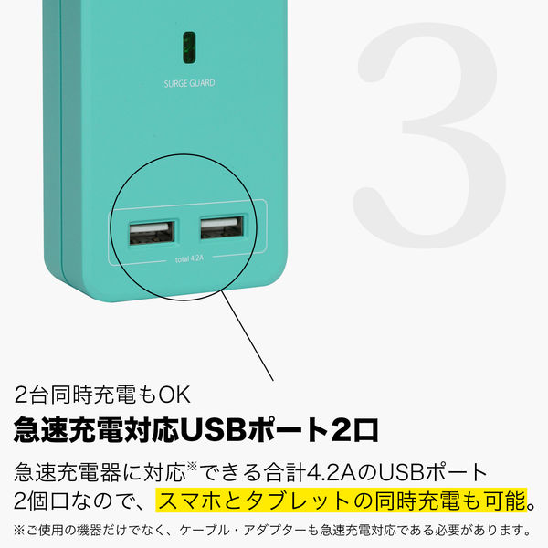 電源タップ USB充電器 壁挿しタイプ 2P式/4個口 USB×2 雷サージ付 SATI