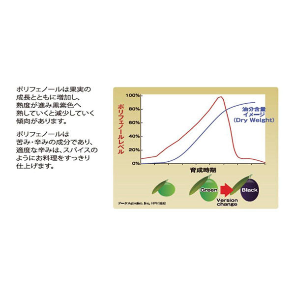 bosco　ボスコ　オリーブオイル　684g　6本セット 61R5LixBNIL.jpg_BO30,255,255,