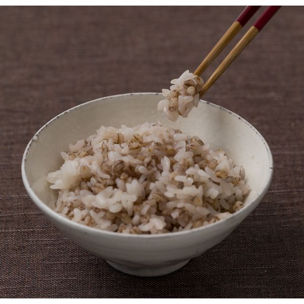 国産もち麦ごはん 3個　アイズ  パックごはん 包装米飯