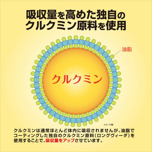 小林製薬 健脳ヘルプ 45粒 1袋 【機能性表示食品】 サプリメント