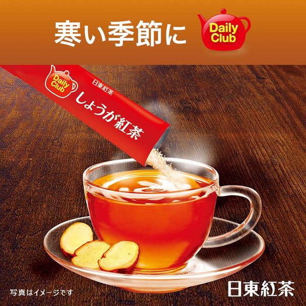 日東紅茶 デイリークラブ カフェインレス しょうが紅茶 1箱（5本入）