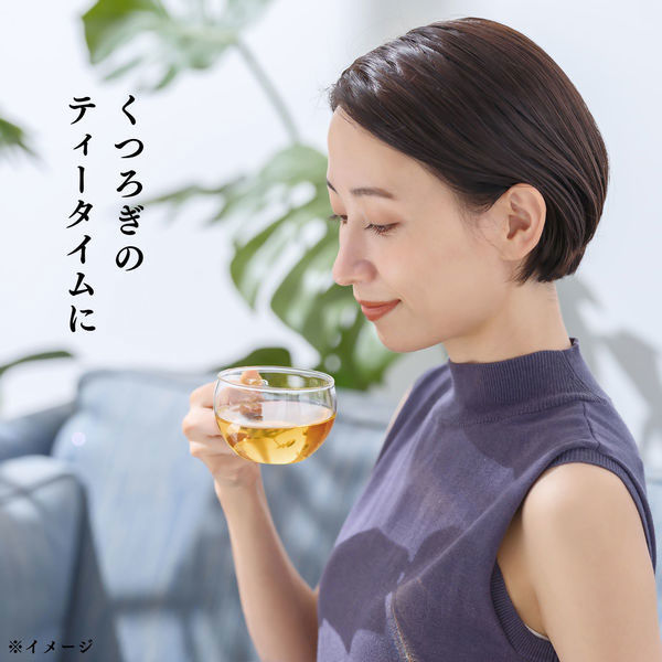 伊藤園 氷水出しティーバッグ 贅沢なお～いお茶 かおる加賀棒