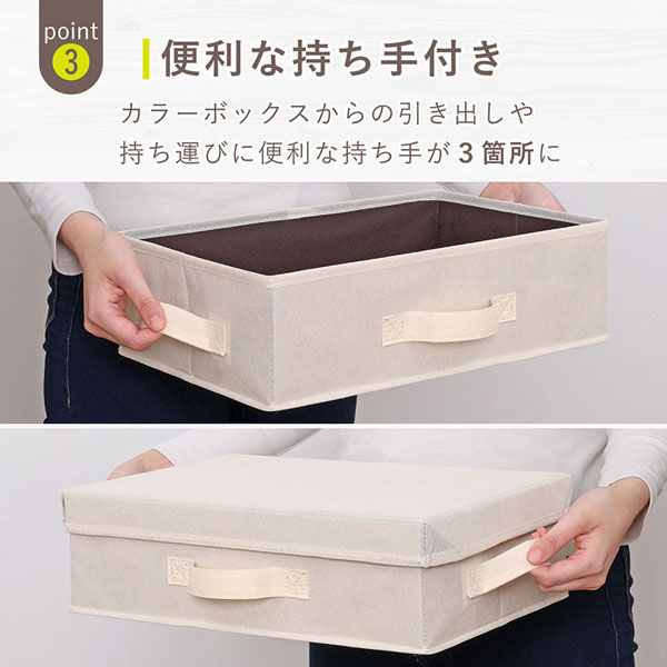 アストロ 収納ボックス 横型ハーフ ふた付 ベージュ×ブラウン 2個組