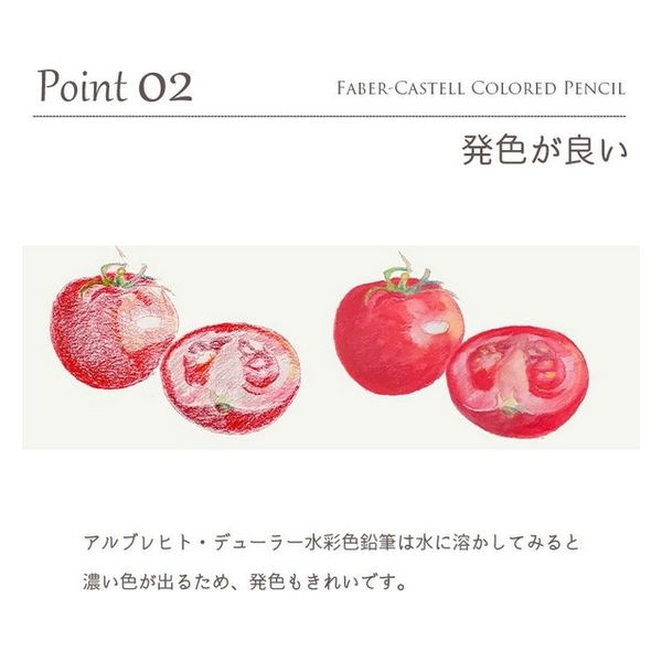 ファーバーカステル　アルブレヒトデューラー 水彩色鉛筆24色 PITTパステル鉛筆 24色(缶入)