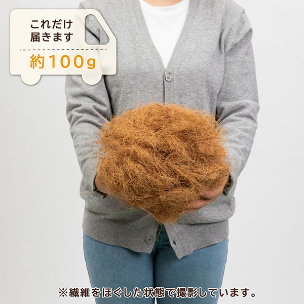 ここやし アストロ ココヤシファイバー 100g 624-02 1袋(100g)（直送品
