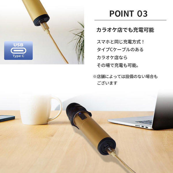 ペンタトニック GTM300ワイヤレスマイク(シャンパンゴールド