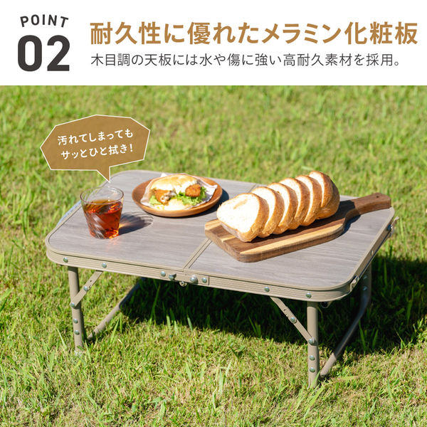 武田コーポレーション 2WAYアルミテーブル 60×40 FT25-6040(VGY