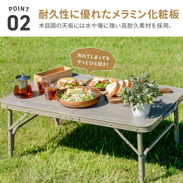 武田コーポレーション 2WAYアルミテーブル 90×60 FT25-9060(VGY