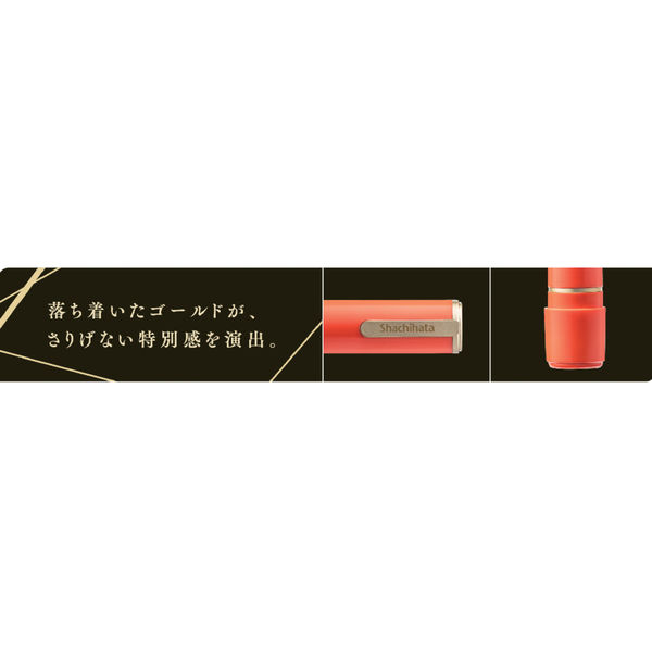 晴様 オーダー品 ♡ ※専用です！ ネーム9 メールオーダー式 創業100周年記念カラー 富士の晴