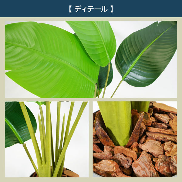 エスエスケイ 光触媒インテリアグリーン オーガスタ 120cm 25140