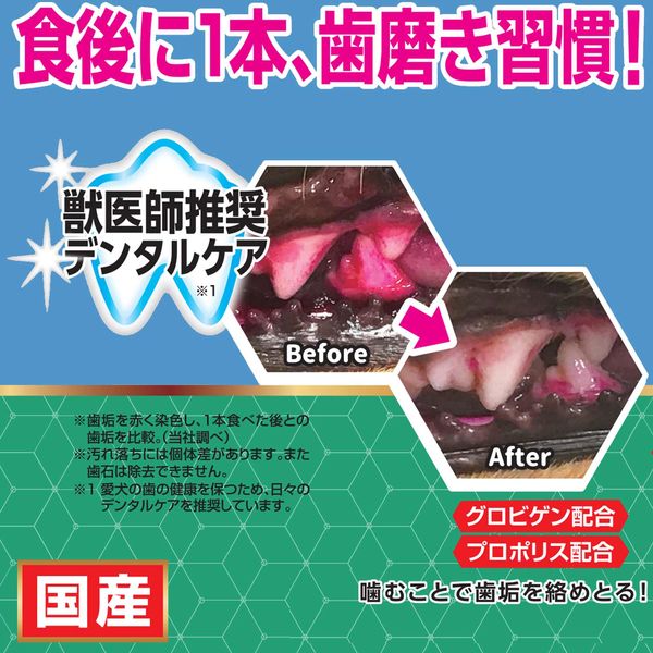 ドギーマン ホワイデント S 小型犬向き 国産 20本 1セット（1袋×3）犬