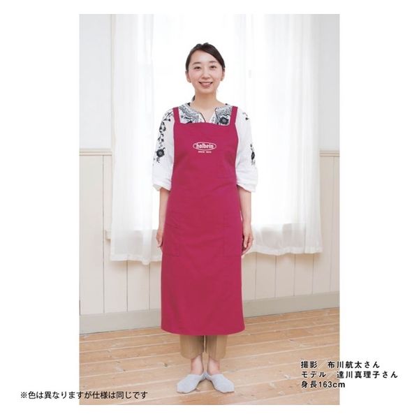 ホルベイン 画家のエプロン GAP-03 ベージュ ( 145543) 145543 1