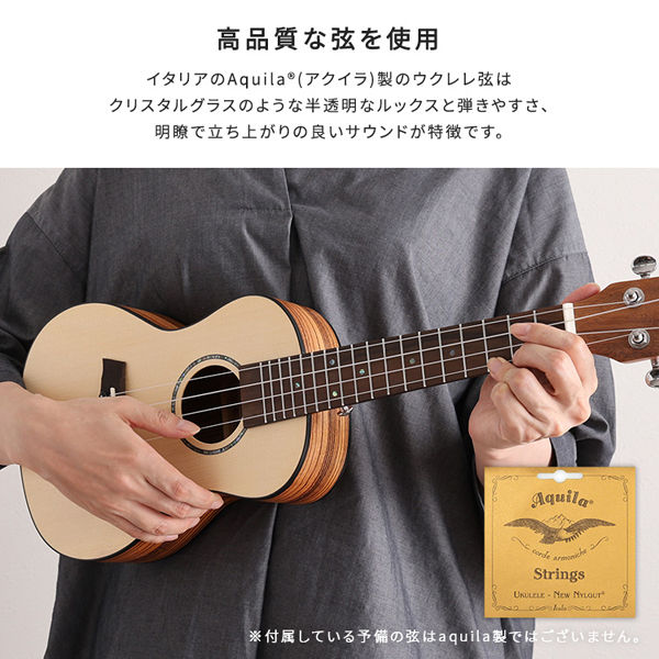ホームテイスト 初心者でも始めやすい ウクレレ 13点セット 23
