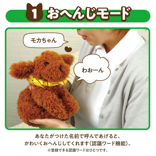 トイプードルお人形　leo よんで！だっこして！おへんじアニマル トイプードル 33003 1