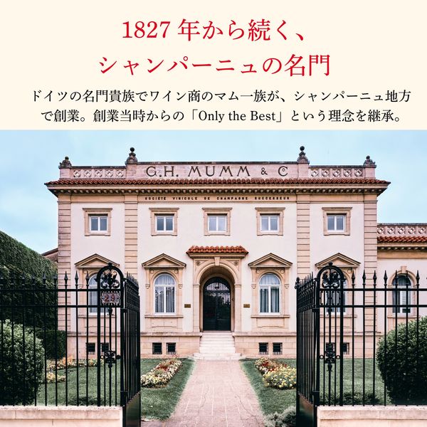 マム コルドン ルージュ グラス2脚セット 1セット シャンパン 箱入