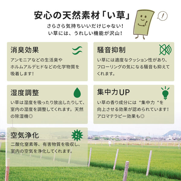 萩原 国産い草センターラグ(裏貼り) 右京(うきょう) ベージュ 萩原 国産い草センターラグ(裏貼り) 右京(うきょう) ベージュ