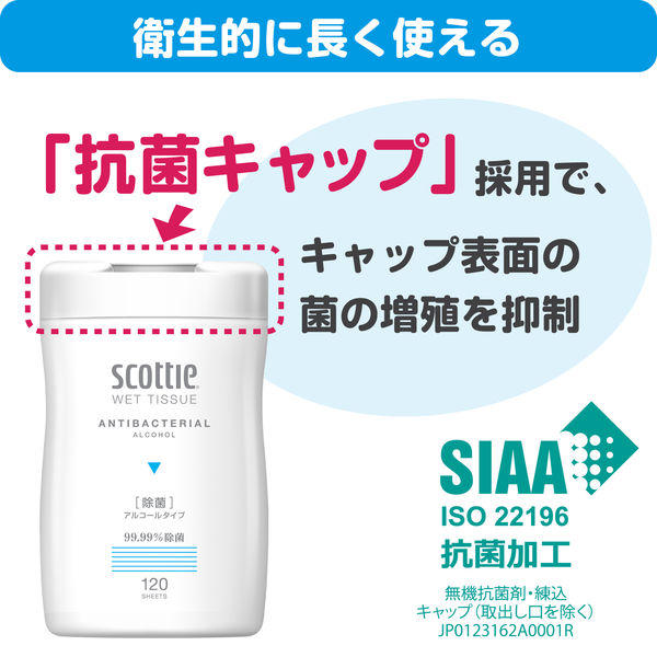 ウェットティッシュ 除菌シート 日本製紙クレシア スコッティ ウェットティシュー 除菌 アルコール 120枚 77015 1本