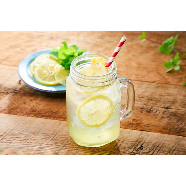 レモネードさん専用 ヤマモリ 砂糖無添加 シチリアンレモネード黒酢 4倍希釈 500ml 1セット