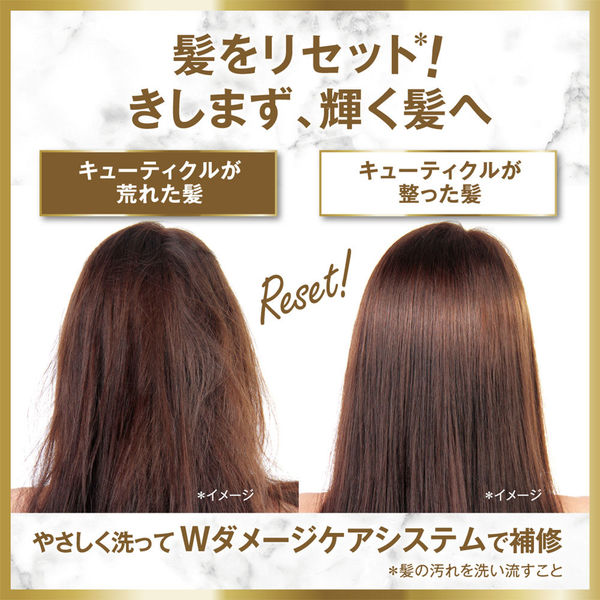 ラックス(LUX) ルミニーク ダメージリペア トリートメント 詰め替え 350g 2個 - アスクル