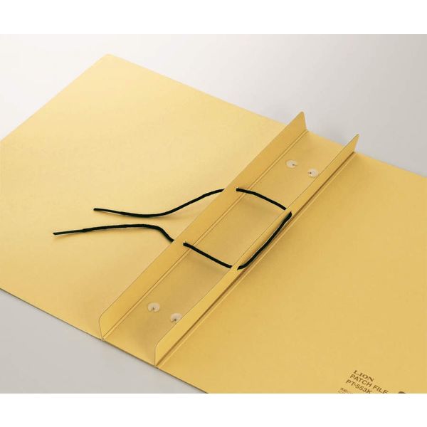 しばライオン同封❌樣 專用7000 ライオン事務器 パッチファイル PTー533K 12622 3冊 - アスクル