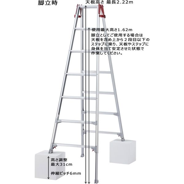 長谷川工業 はしご兼用伸縮脚立 RYZ-21b（直送品）