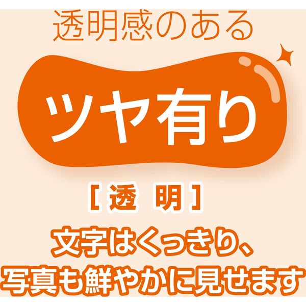 マグエックス マグネットカードケース ツヤ有り A5 MCARD-A5G 1セット