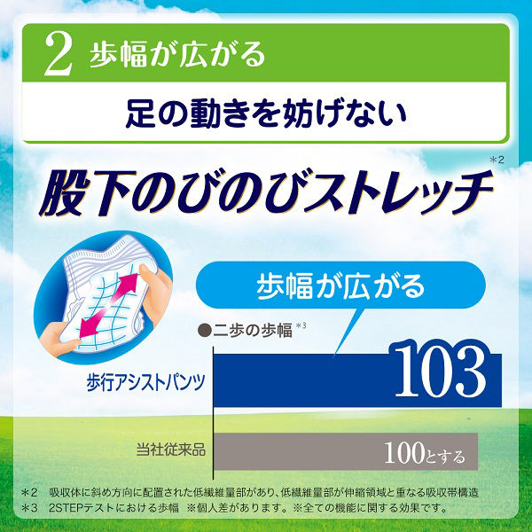 大人用紙おむつ ライフリー 歩行アシストパンツ L お試しパック
