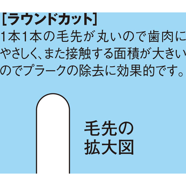 ダイト 歯科用歯ブラシ/ふつう DPA-01M 1箱（60本入） オリジナル - アスクル