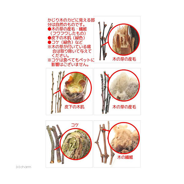 葡萄の枝様 リクエスト 2点 まとめ商品