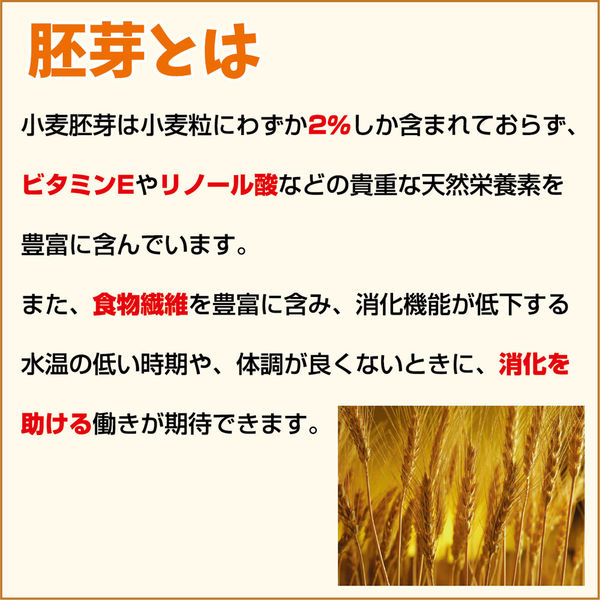 キョーリン ひかり胚芽浮 中粒 4971618063786 1個（直送品
