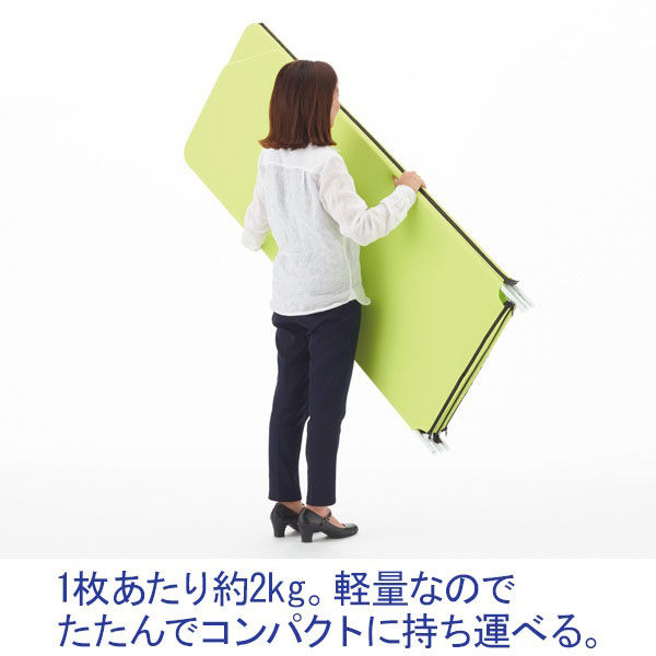 クロスZIPスクリーン シングルジップタイプ 5連ホワイト YS-N5WH 1台 