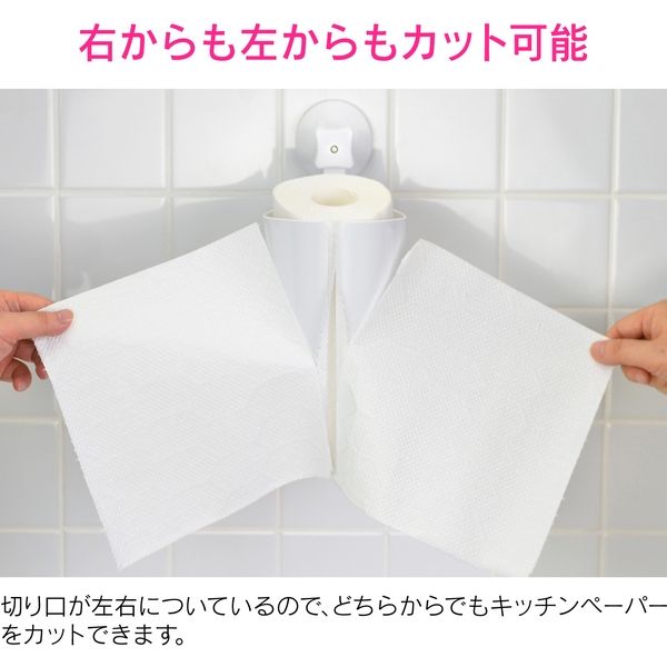 カクダイ ガオナ ペーパータオルホルダー ホワイト キッチン カクダイ ガオナ ペーパータオルホルダー ホワイト キッチン