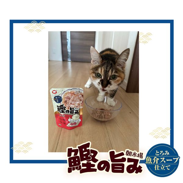 朝市場 猫用 鰹の旨みスープ かつお 60 24袋 F&Bell 朝市場 猫用 鰹の旨みスープ かつお 60 24袋 F&Bell