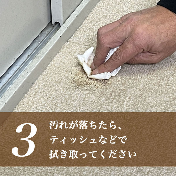 シミ取りキング 100ml 1本 マツクラ産業 - アスクル