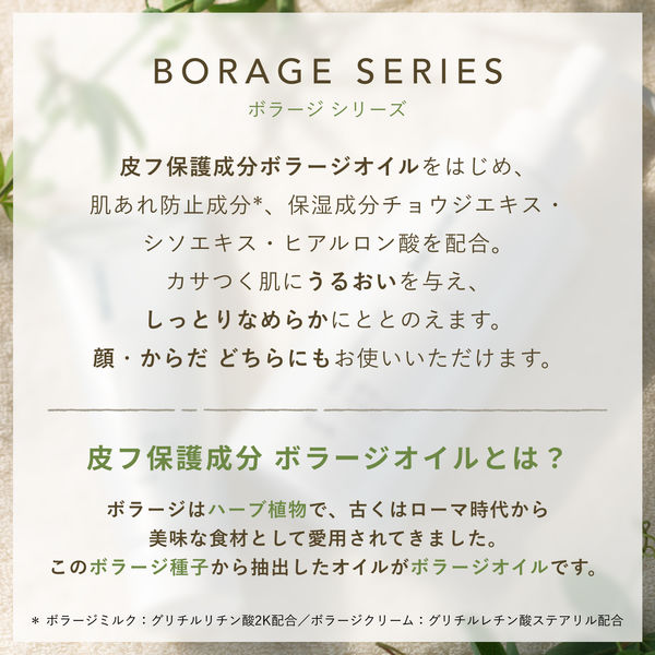 ちふれ化粧品 ボラージ クリーム（顔・体用保湿クリーム） 80g