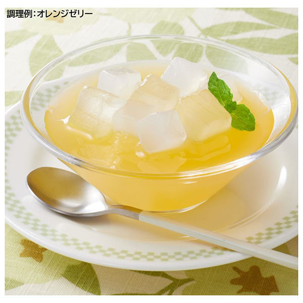 はごろもフーズ アロエ＆ナタデココ パウチ 100g 1セット（10個