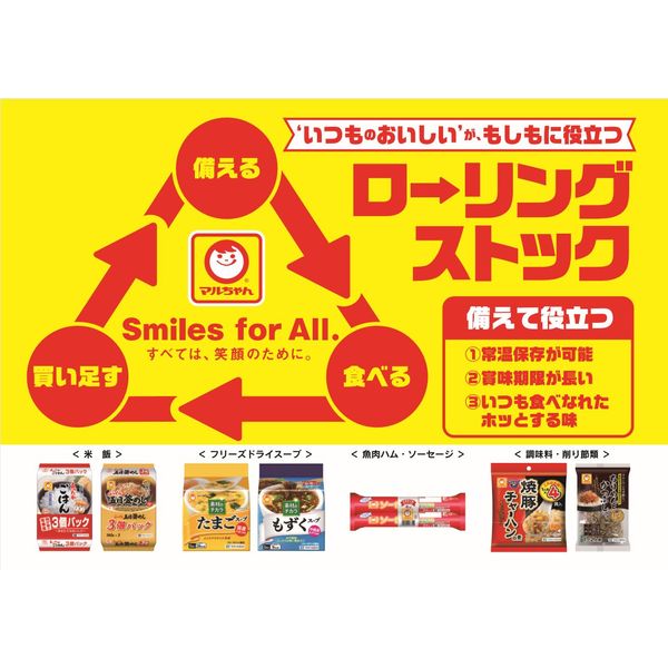 パックごはん 6食 あったかごはん大盛250g（3食入）× 2個 東洋水産 米加工品 包装米飯