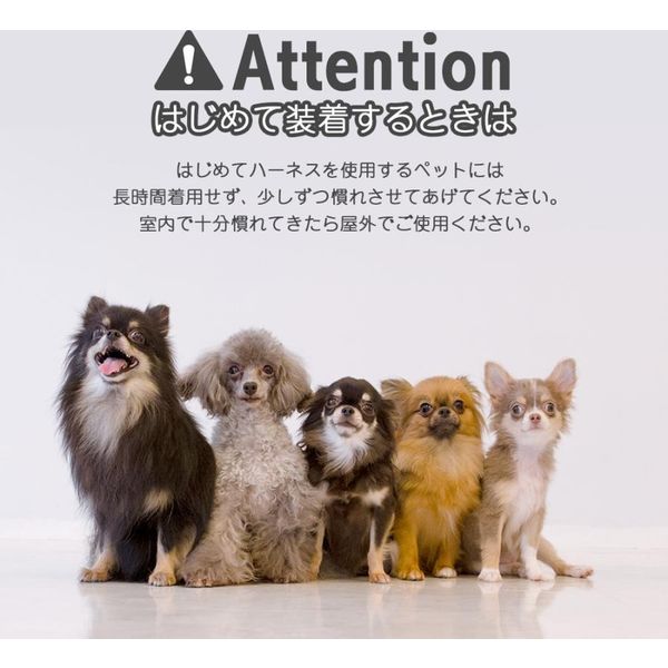 ベスト・アンサー ハーネス&リードセット 胴輪 首輪 小型犬 中型
