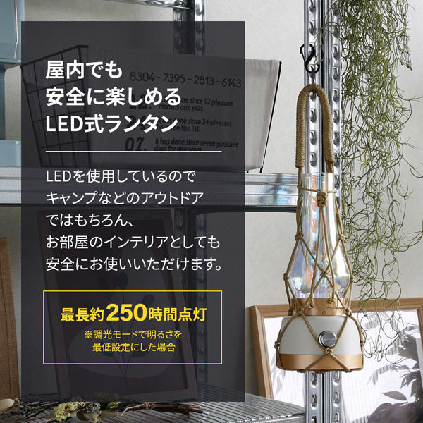 ebiブランド 幻想的な光を楽しむ、特別なひとときを。 オーロラ