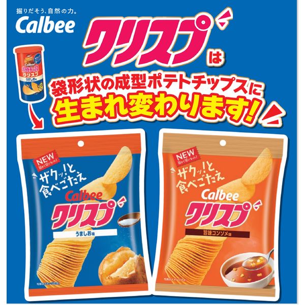 クリスプ 旨味コンソメ味 1セット（1袋×16） カルビー ポテトチップス スナック菓子 おつまみ - アスクル