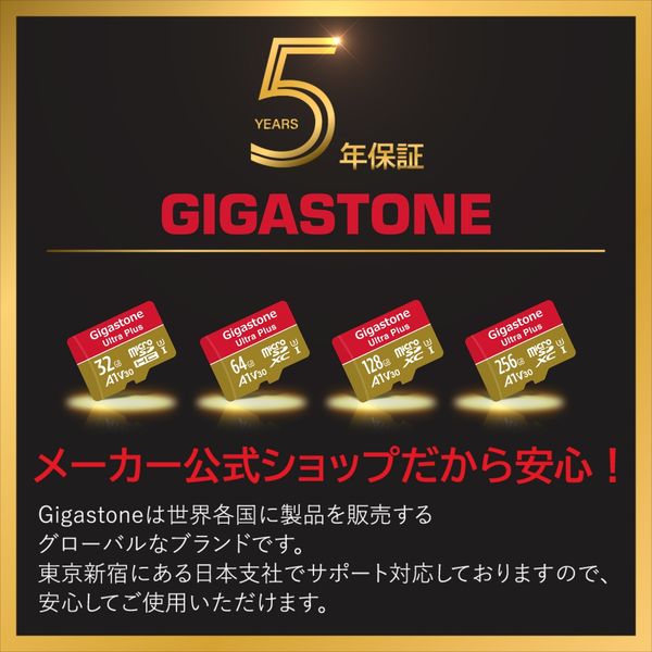 Nintendo Switch確認済マイクロSDカード 256GB 2枚セット Gigastone