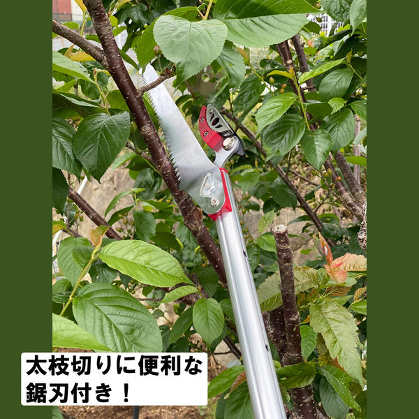 大進 収納に便利な 伸縮式 高枝切りばさみ 3.5m 剪定 鋸 高枝切 大進 収納に便利な 伸縮式 高枝切りばさみ 3.5m 剪定 鋸 高枝切