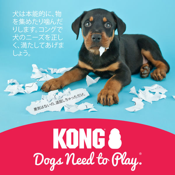 コング チューブペースト スイートポテト味 全犬種成犬用 140g 3個 コングジャパン 犬用 おやつ アスクル