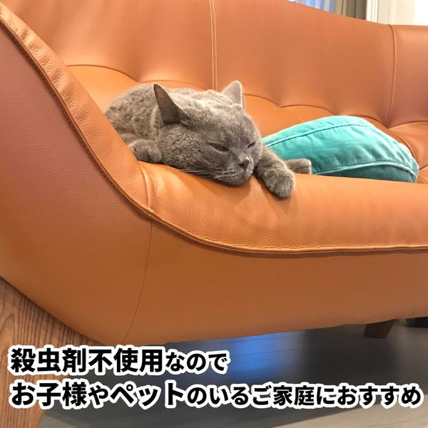 アスクル限定】凍殺ジェット スプレー式 -85℃ ベタつかない 300mL 1本