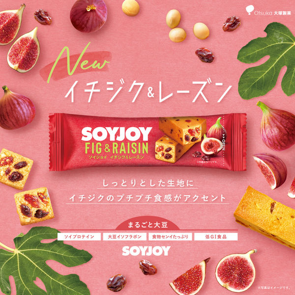 ソイジョイ イチジク＆レーズン 48本 大塚製薬株式会社 - アスクル